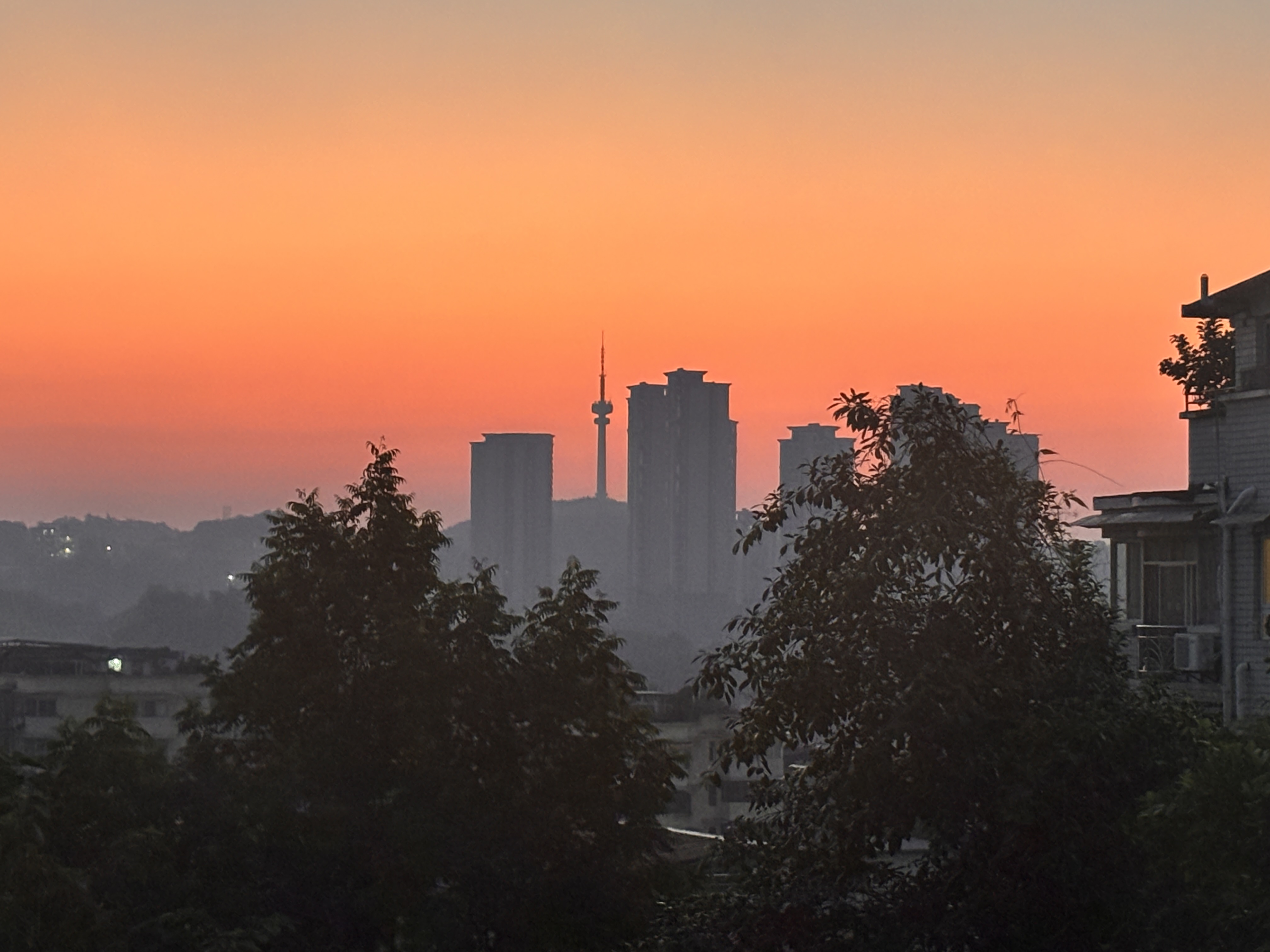 IMG_2549