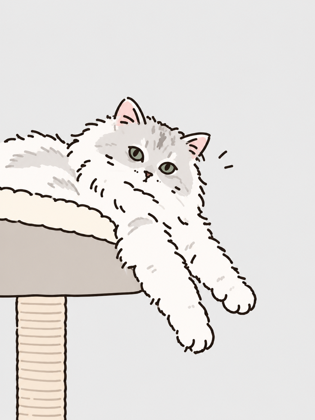 谁家小猫？我家的！